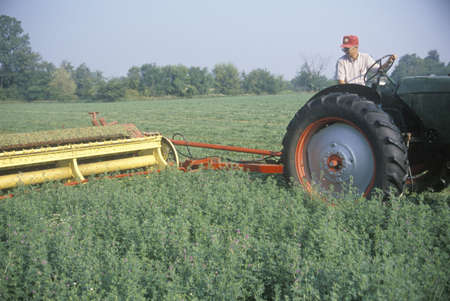 Farmer cutting hay field in South Bend, INのeditorial素材