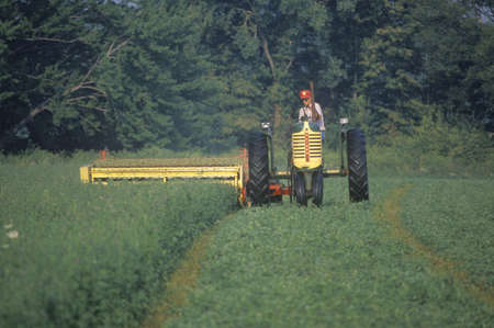 Farmer cutting hay field in South Bend, INのeditorial素材