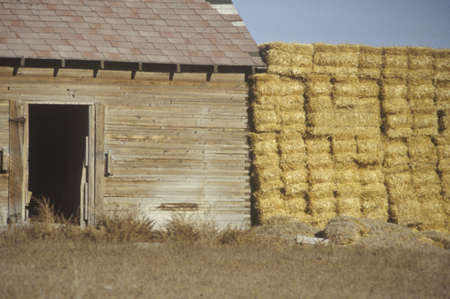 Haystacks next to an old barn in Southern UTのeditorial素材