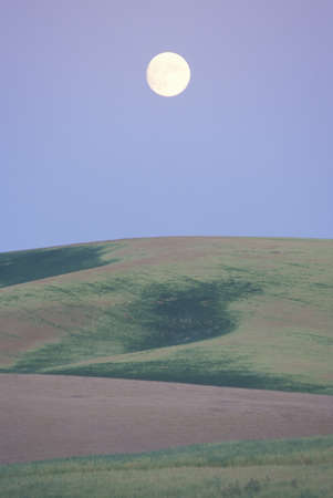 A full moon rising over pea fields at dusk in Southeast WA のeditorial素材