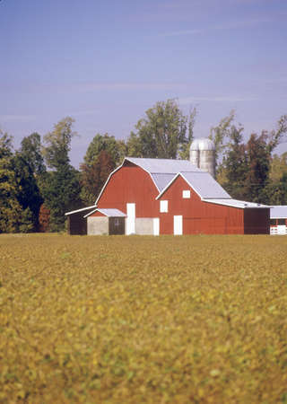 Red barn and outbuildings, Eastern Shore, MDのeditorial素材