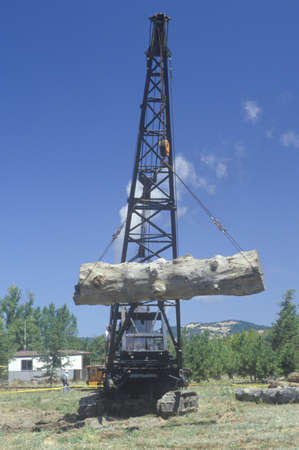 A crane raising a weathered log as part of a reenactment of the workings of a 19th century lumber mill のeditorial素材
