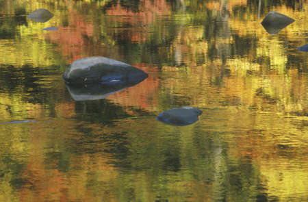 Stream in Autumn, New Englandのeditorial素材
