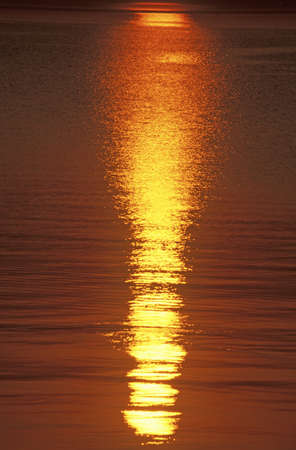 Sunrise Reflected in Water, Illinoisのeditorial素材