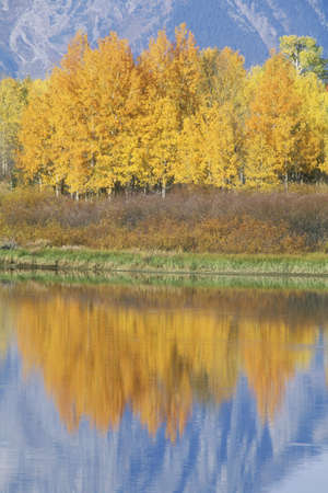 Grand Teton National Park in Autumn, Jackson, Wyomingのeditorial素材