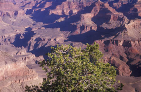 South Rim of the Grand Canyon, Arizonaのeditorial素材