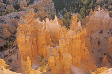 Bryce Canyon National Park, Utahのeditorial素材