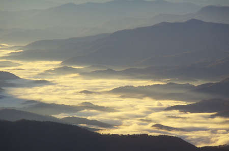 Morning Fog In Great Smokey Mountain National Park, Tennessee のeditorial素材