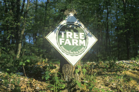 Sign reads tree farmのeditorial素材