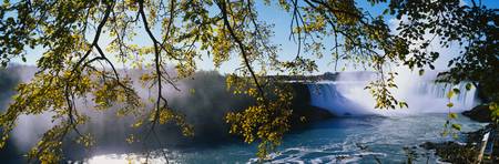 This is the Horseshoe Falls with an overhanging tree. It is the view from Canada.の写真素材