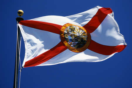 This is the State Flag waving in the wind. It is on a flagpole against a blue sky. It has a red cross against a white background with a circular seal at the center.のeditorial素材