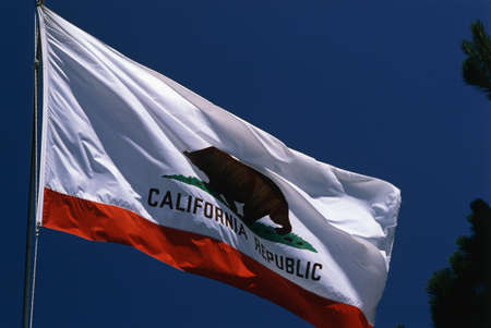 This is the State Flag waving in the wind. It is on a flagpole against a blue sky. At the center is a bear against a white background.の写真素材