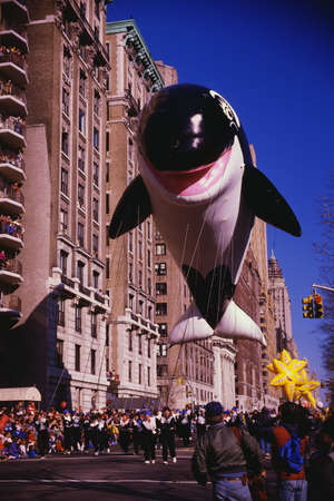 This is the 50th annual Macy's Thanksgiving Day Parade in Central Park. There is a giant black and white dolphin balloon coming down the street in the parade.のeditorial素材