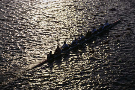 This is the Head of the Charles Regatta. It is the famous autumn rowing event. It shows the teamwork exhibited by the rowers. The rowers are shown here in silhouette.の写真素材