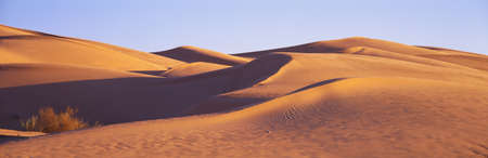 This is Great Sand Dunes National Park at sunrise.