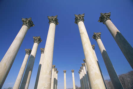 View of Corinthian columns in National Arboretumの写真素材