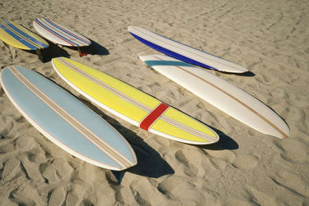 Surfboards lying on sandの写真素材