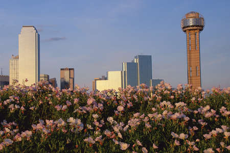 Scenic Dallas skyline with Reunion Towerのeditorial素材