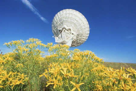Array/satellite dish in field of flowersの写真素材