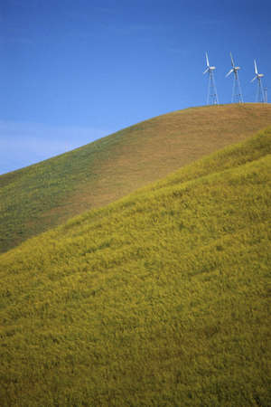 Wind turbines on grassy hillの写真素材