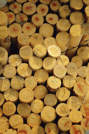 Stack of prepared timber