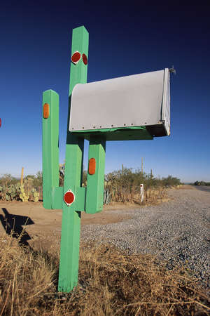 Cactus mailbox