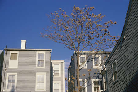 Gray houses against blue skyの写真素材