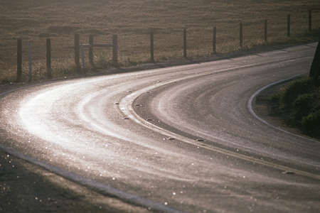 Road shining in sunlightの写真素材