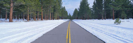 Two lane road in snow with Evergreen treesの写真素材