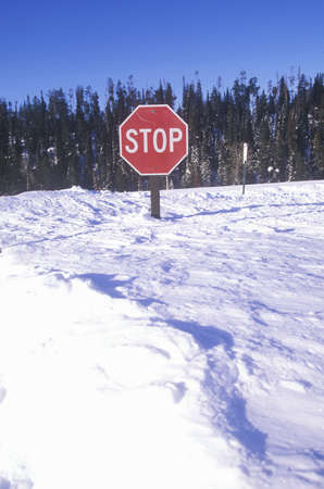 Stop sign in the snow at Grand Teton National Park, Jackson, WYのeditorial素材