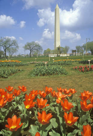Spring Flowers in front of Washington Monument, Washington, D.C.のeditorial素材