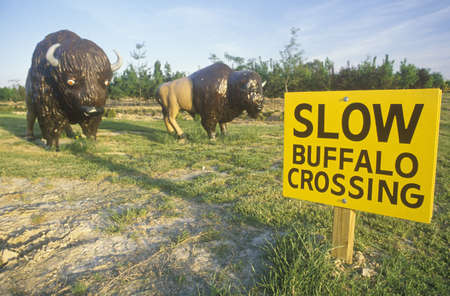 A sign that reads ÒSlow Buffalo CrossingÓのeditorial素材
