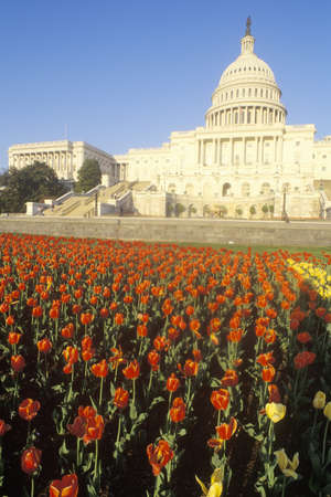 United States Capitol Building at Sunset, Washington, D.C.のeditorial素材