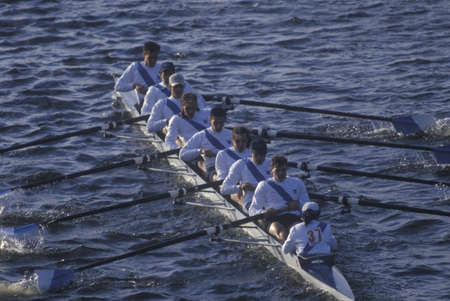 Team of Male Rowers, Charles Regatta, Cambridge, Massachusettsのeditorial素材
