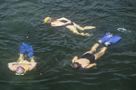 Group of Snorkelers in water, Key West, FLのeditorial素材