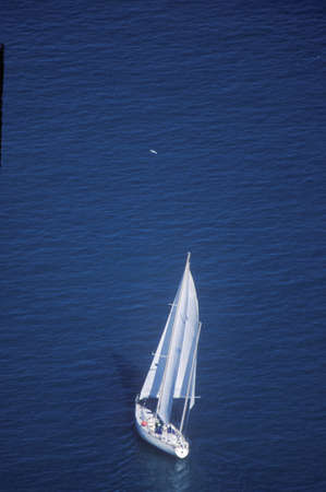 A sailboat on Lake Michigan during the summer in Chicago, Illinoisのeditorial素材