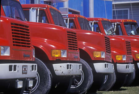 Red and blue trucks in a row 