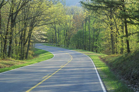 Skyline Drive in Shenandoah National Park in Spring, Virginiaのeditorial素材