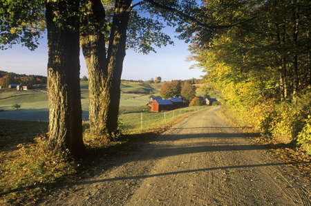 A dirt road leading to Jenne Farm in Vermontのeditorial素材