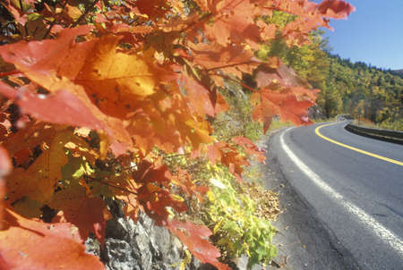 A scenic drive through the Berkshires in Western Massachusettsのeditorial素材