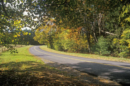 Trees in autumn color line a narrow road near Woodstock, New Yorkのeditorial素材