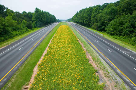 Yellow flower-lined state highway in rural Virginia