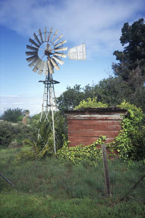 Windmills at Los Osos, CAのeditorial素材