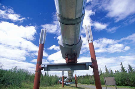 Trans-Alaska Pipeline at Route 4, near Paxson, AKのeditorial素材