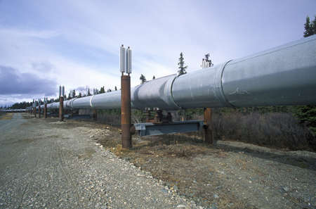 Trans-Alaska Pipeline at Route 4, near Paxson, AKのeditorial素材