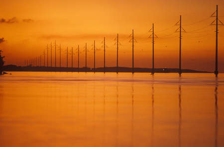 Telephone lines at Key West, FLのeditorial素材