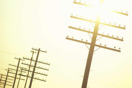 Telephone poles at sunset, Southwestのeditorial素材