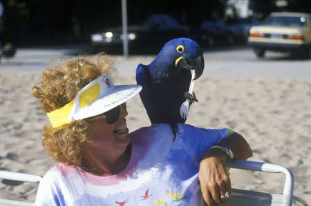 Woman in lawn chair on blue parrot on shoulder, Venice, CAのeditorial素材