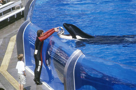 Shamu Stadium, Sea World, San Diego, CA