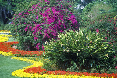 Grounds of Cypress Gardens, FLのeditorial素材